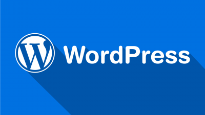 WordPress Yazı Sürümlerini Kaldırmak..